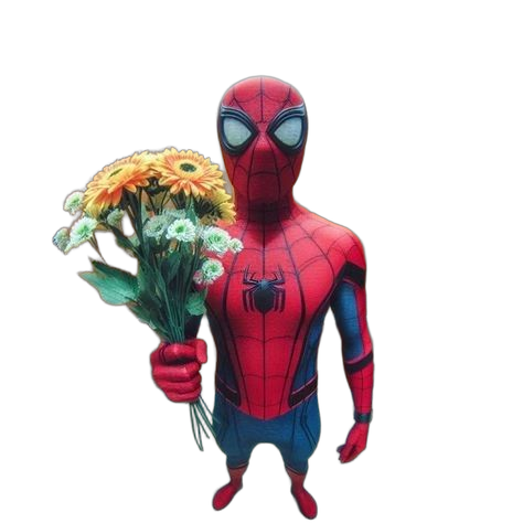 Spider-Man